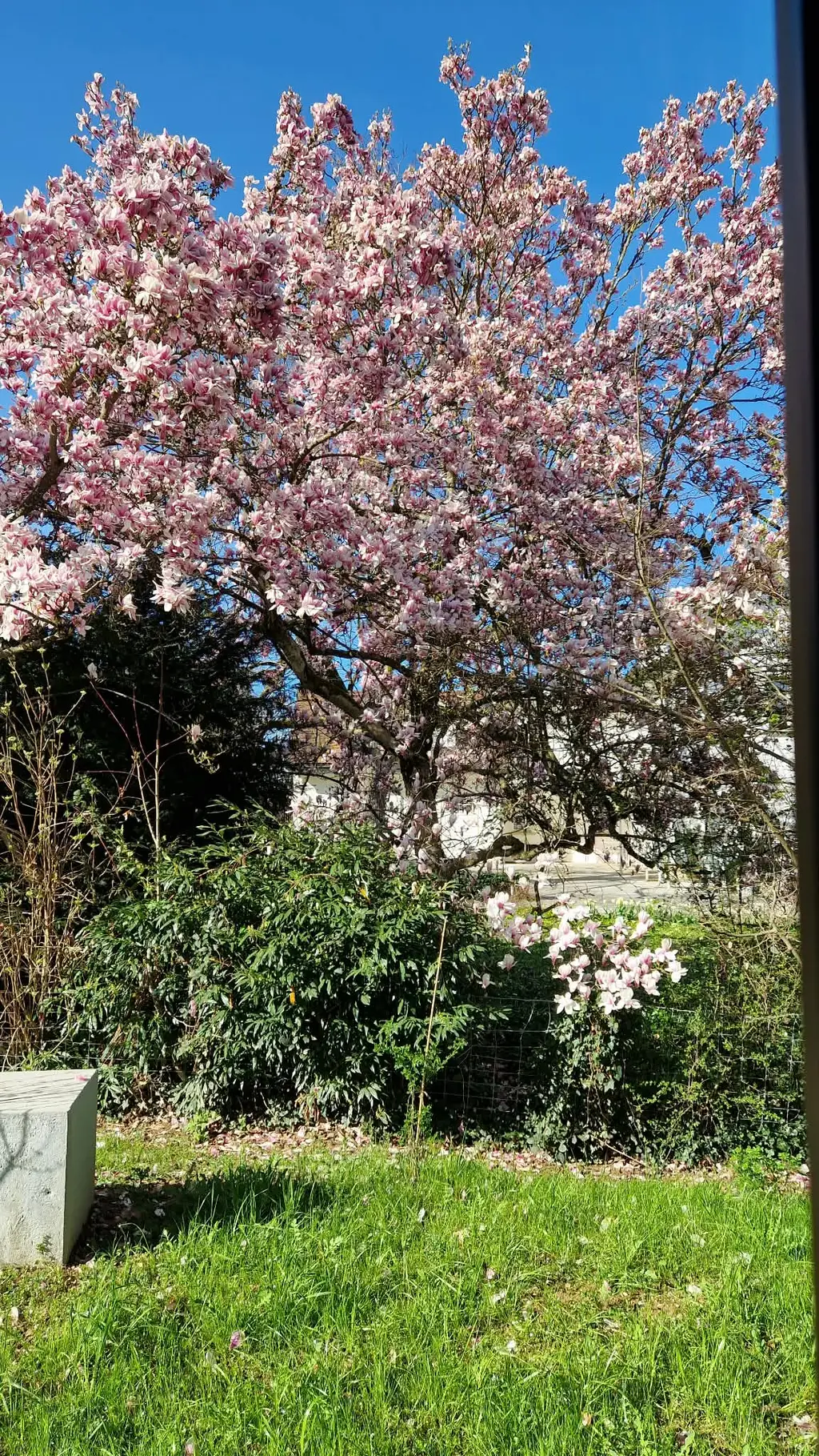 Modern mit Garten und Minergie-Zertifikat
