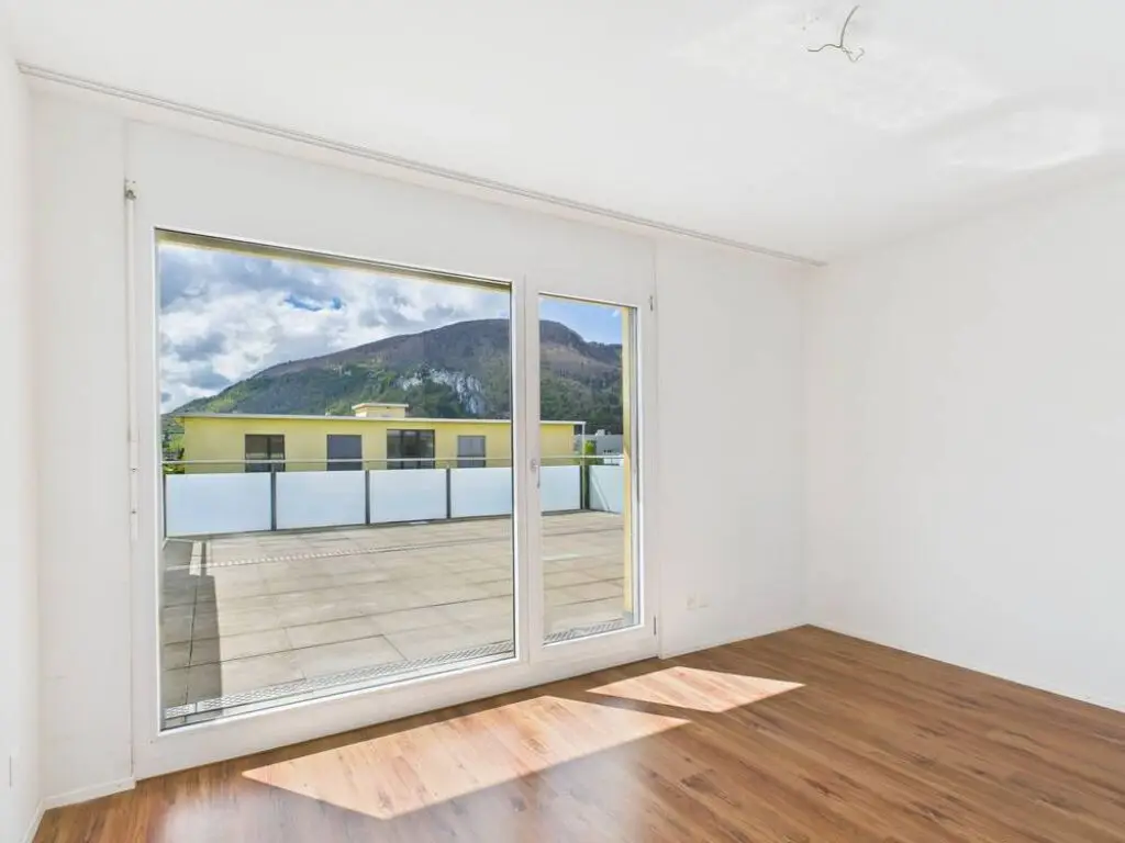 Geräumige Wohnung mit Cheminée und grosser Terrasse