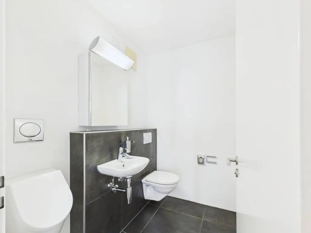 Geräumige Wohnung mit Cheminée und grosser Terrasse