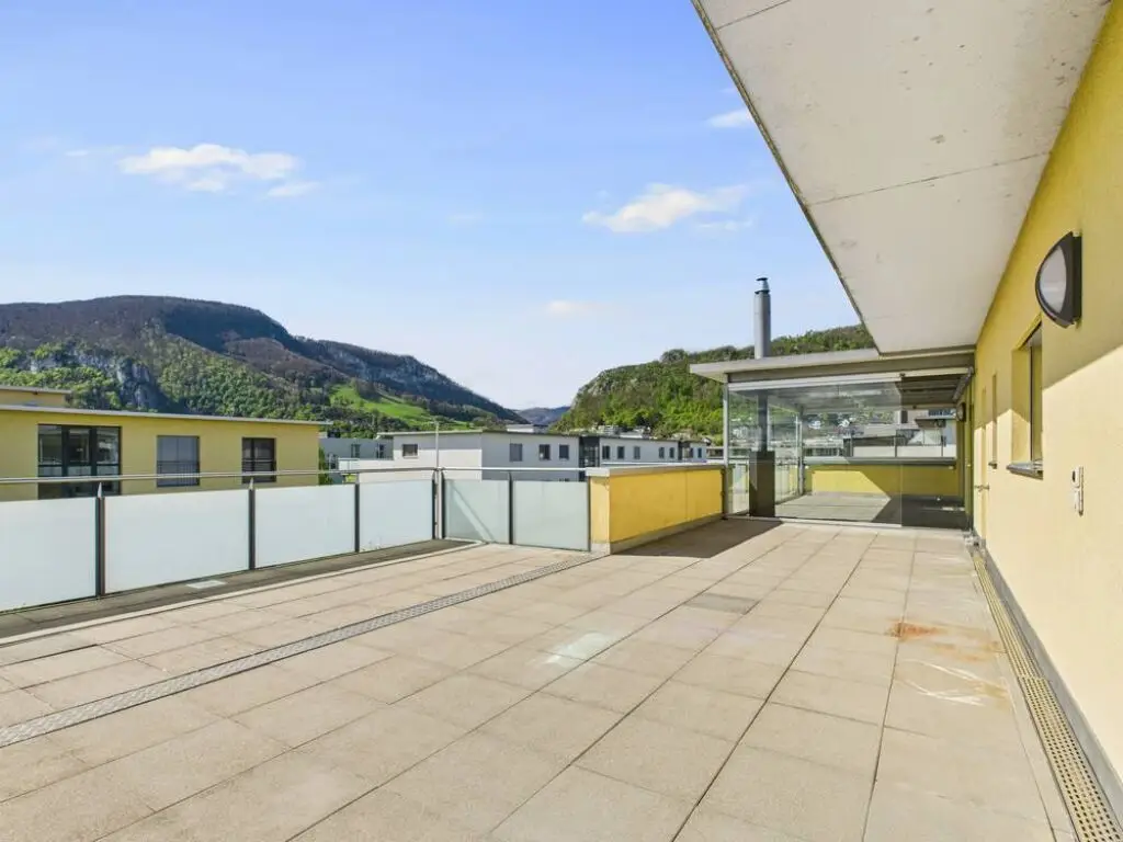 Geräumige Wohnung mit Cheminée und grosser Terrasse