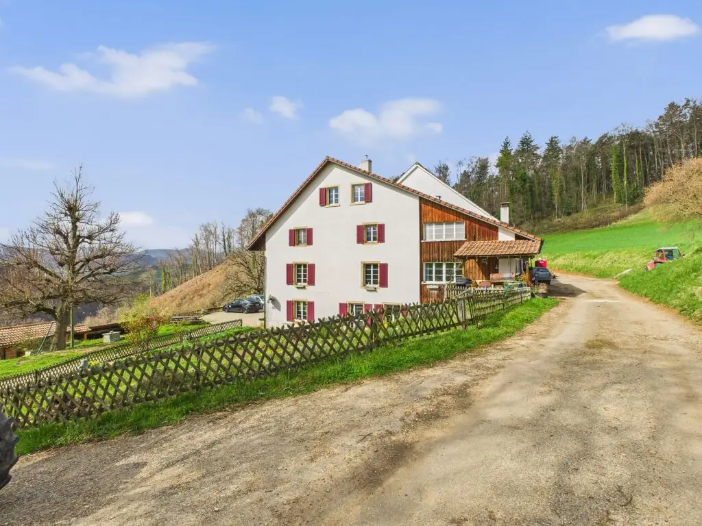 Charmantes Bauernhaus in Tenniken