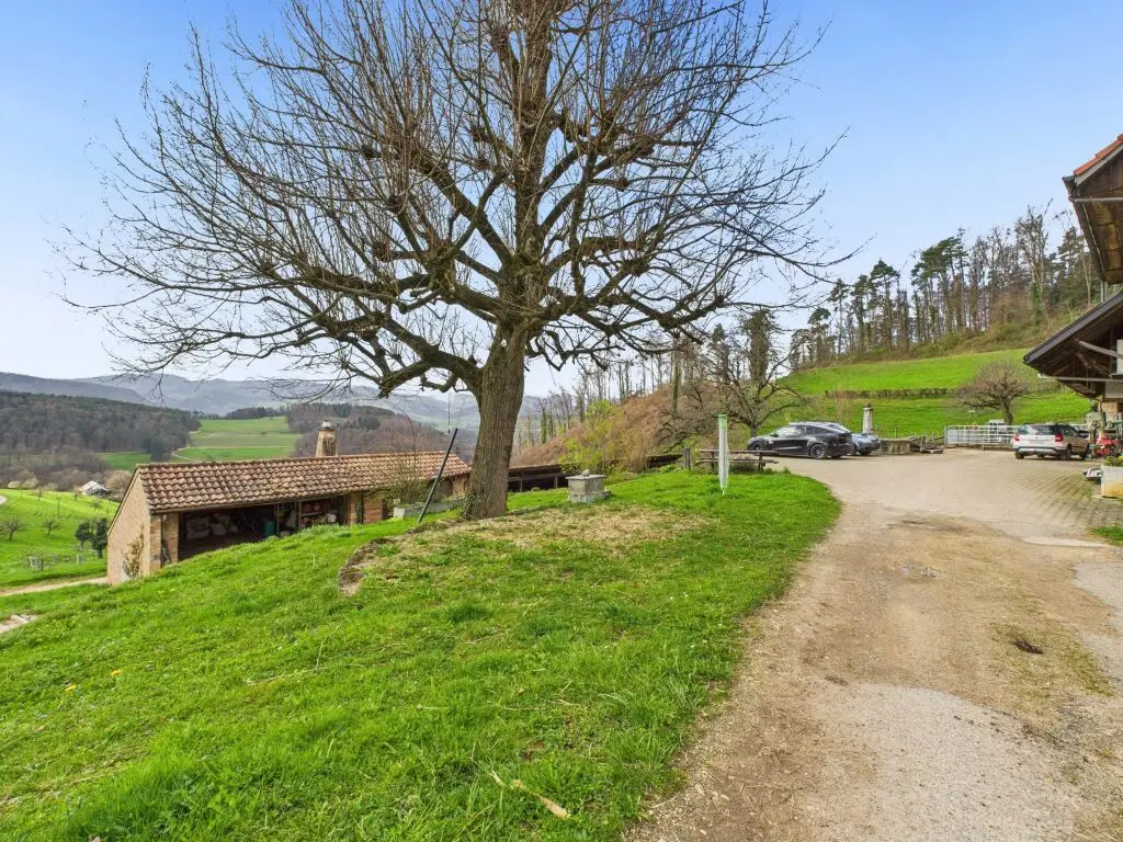 Charmantes Bauernhaus in Tenniken