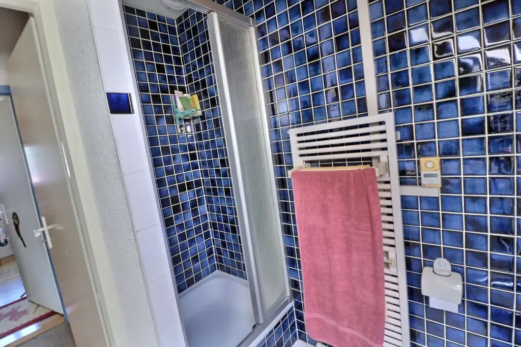 Maison de Charme en Viager Occupé – Opportunité Rare à Veyrier