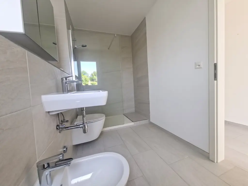 Helle 5-Zimmer Attikawohnung mit Blick in Basel zur Miete
