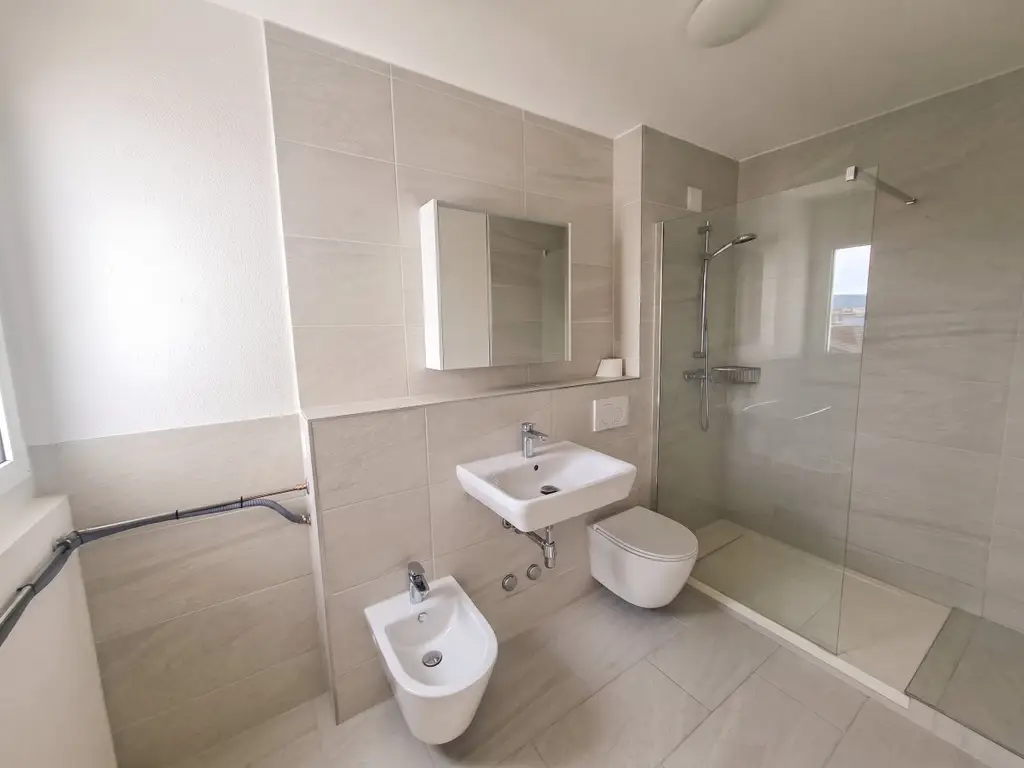 Helle 5-Zimmer Attikawohnung mit Blick in Basel zur Miete