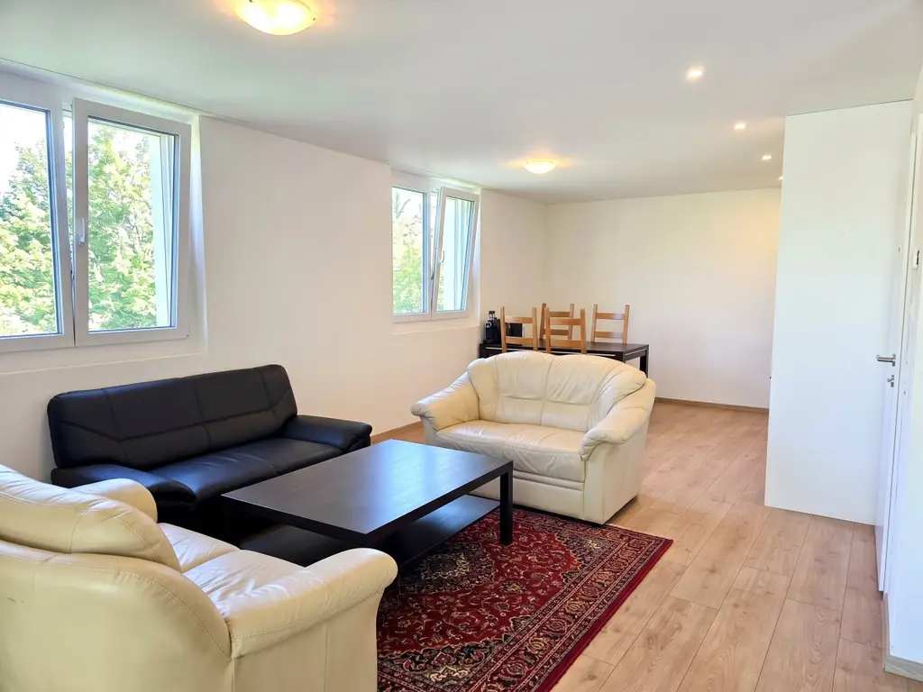 Neuwertig mit grossem Balkon, unverbaubarer Aussicht