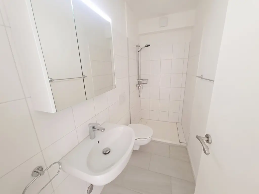 Helle 5-Zimmer Attikawohnung mit Blick in Basel zur Miete
