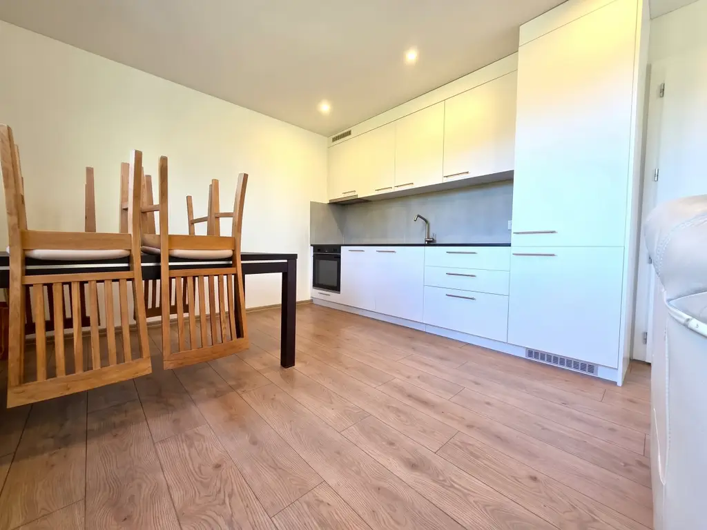 Neuwertig mit grossem Balkon, unverbaubarer Aussicht