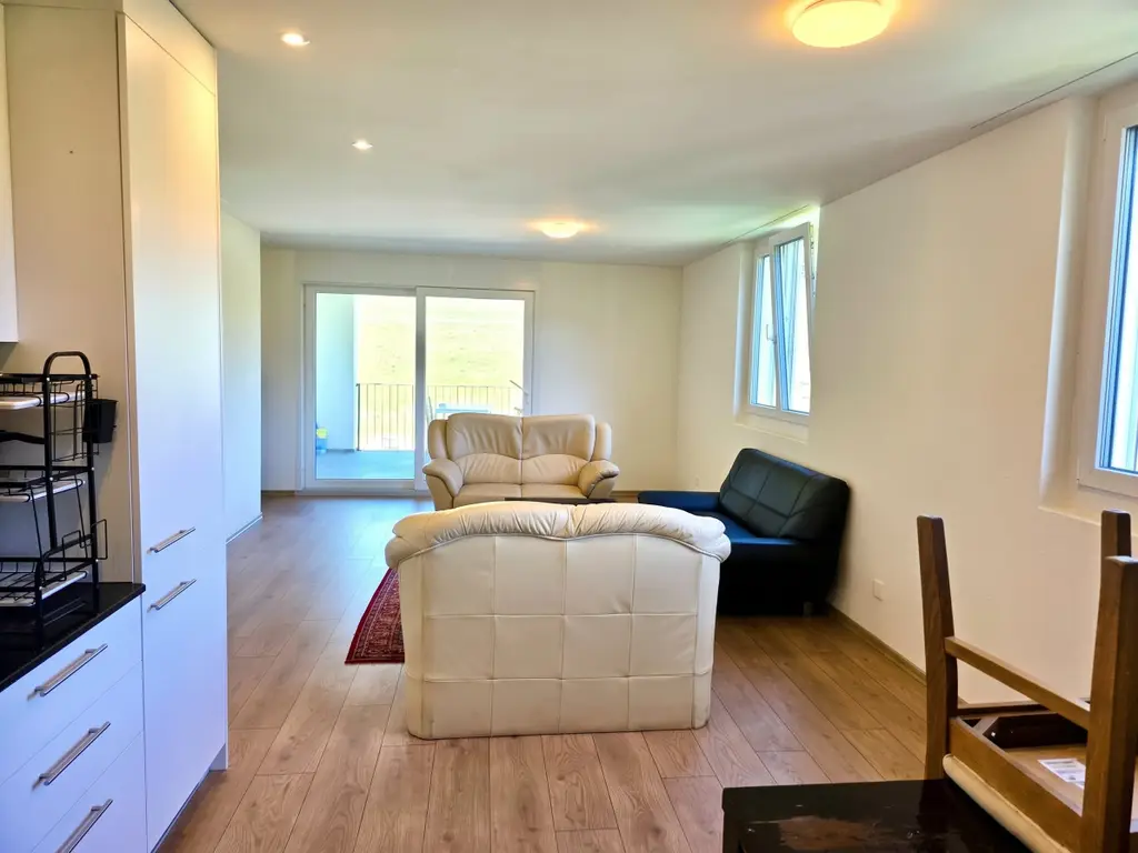 Neuwertig mit grossem Balkon, unverbaubarer Aussicht