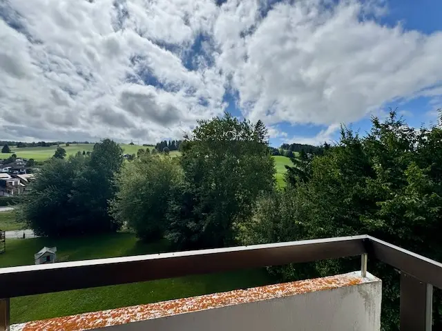 Appartement  lumineux de 6 pièces avec cheminée, loggia, balcon et vue sur la ville et la campagne 