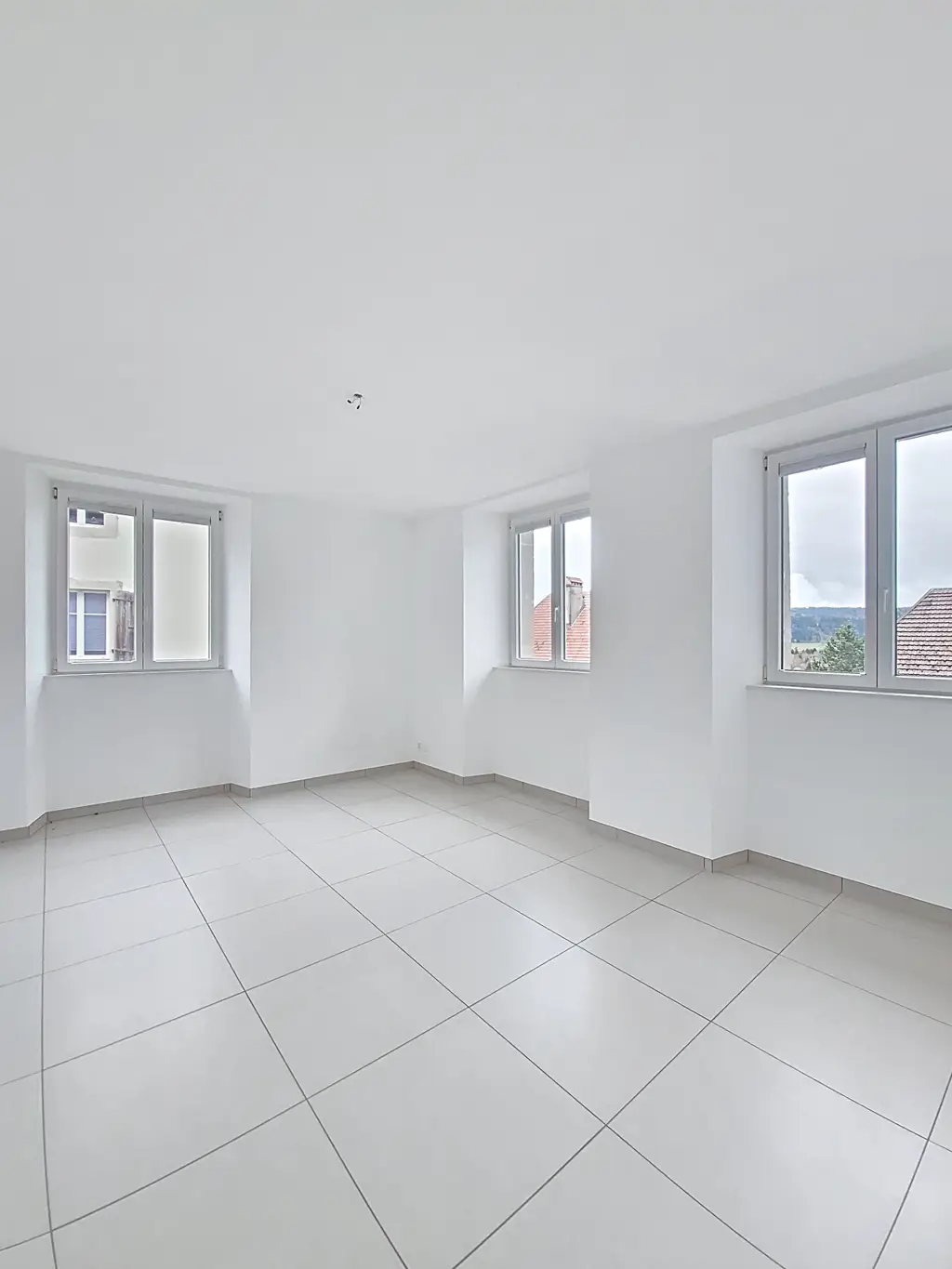 Très bel appartement lumineux et rénové, 5,5 pièces- proche de la nature