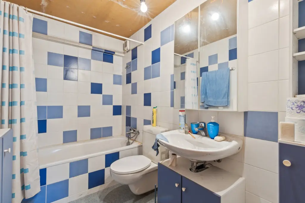 Maison en viager occupé sans rente