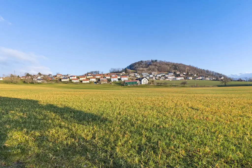 Maison en viager occupé sans rente