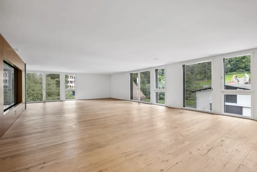Home Office/Kino in Bäch