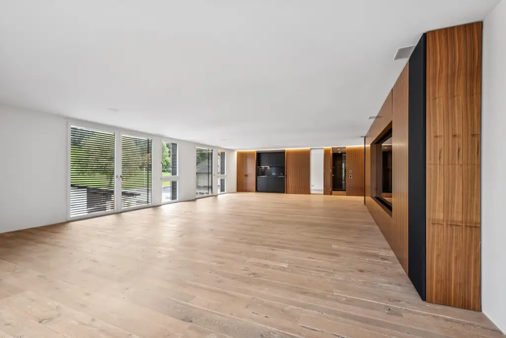 Home Office/Kino in Bäch