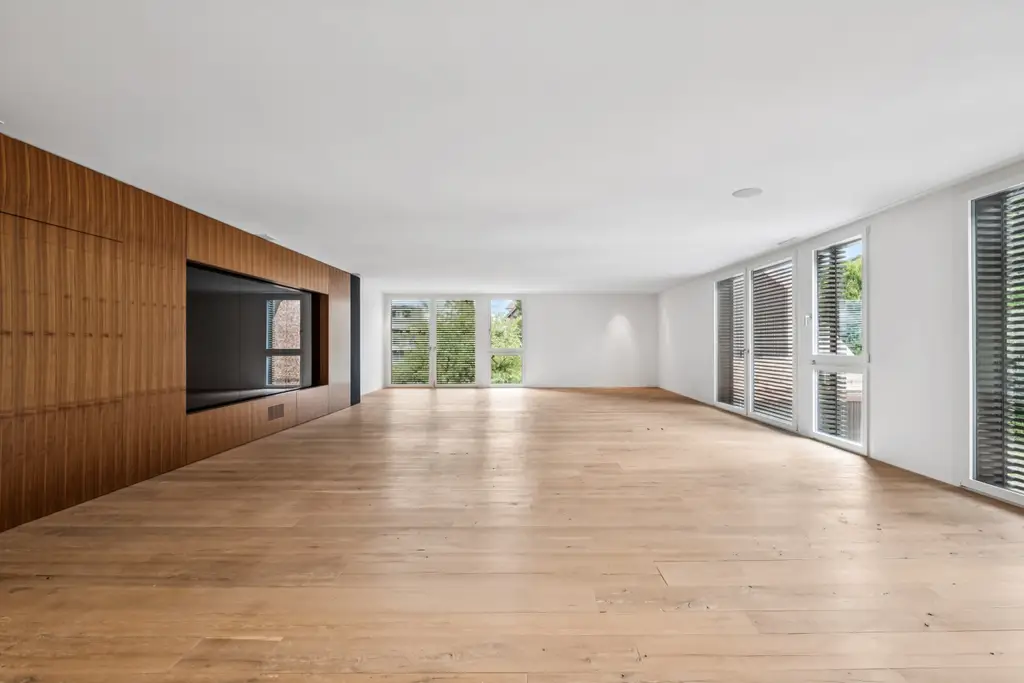 Home Office/Kino in Bäch