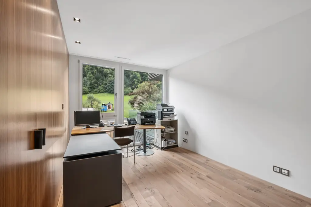 Home Office/Kino in Bäch