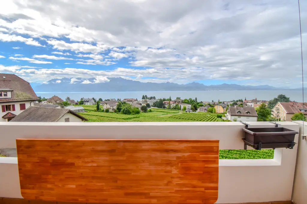 OPPORTUNITE !! 4.5 pièces avec vue imprenable sur le lac et les vignes – Pully