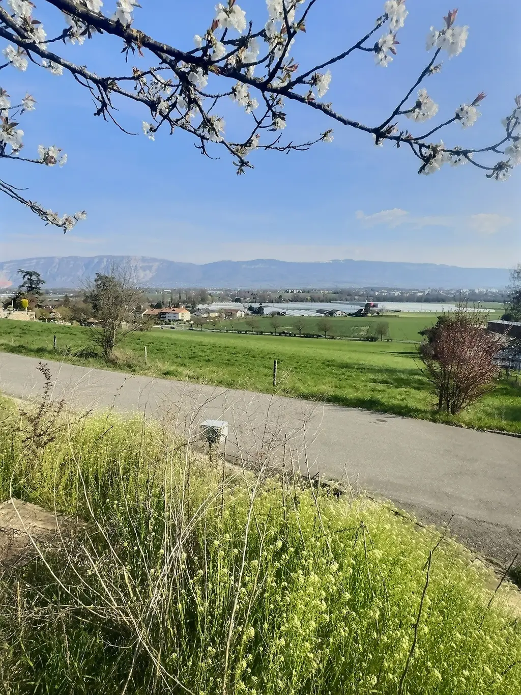 Petite Maison à Bernex avec Vues Panoramiques