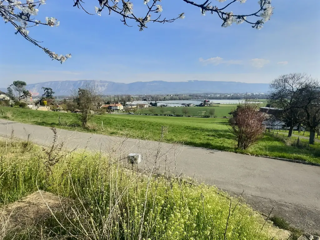 Petite Maison à Bernex avec Vues Panoramiques