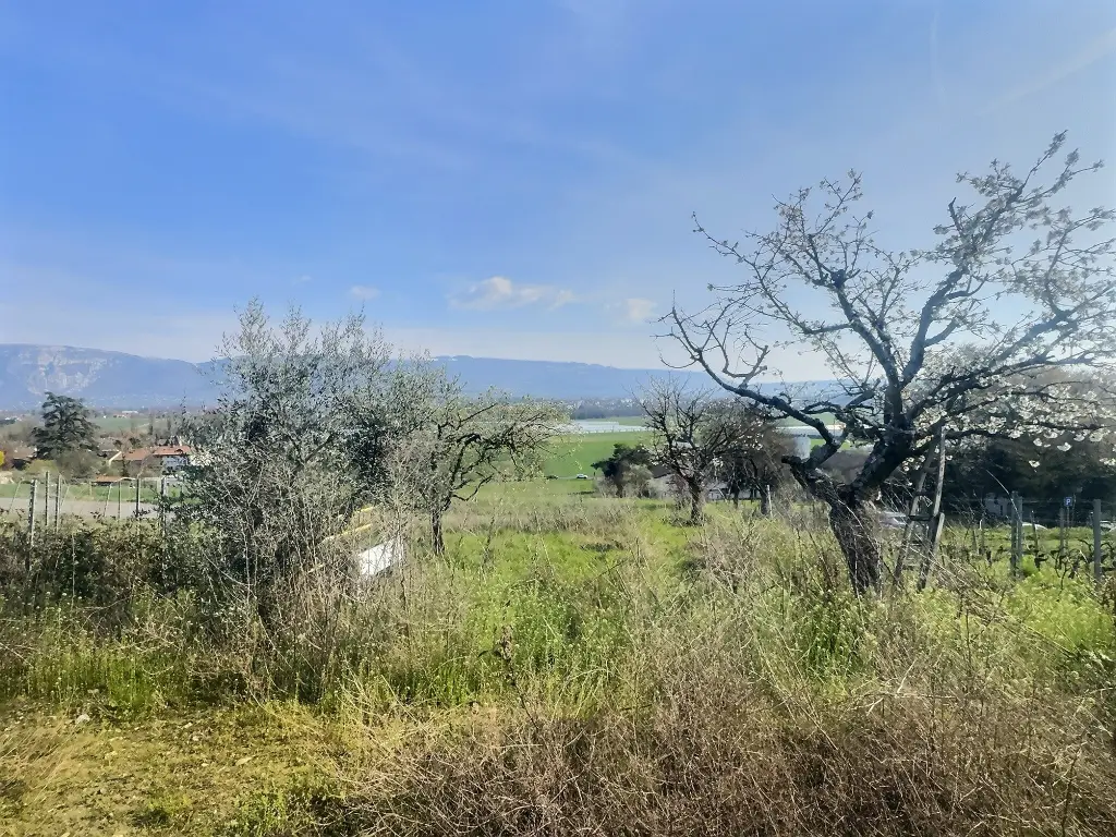 Petite Maison à Bernex avec Vues Panoramiques