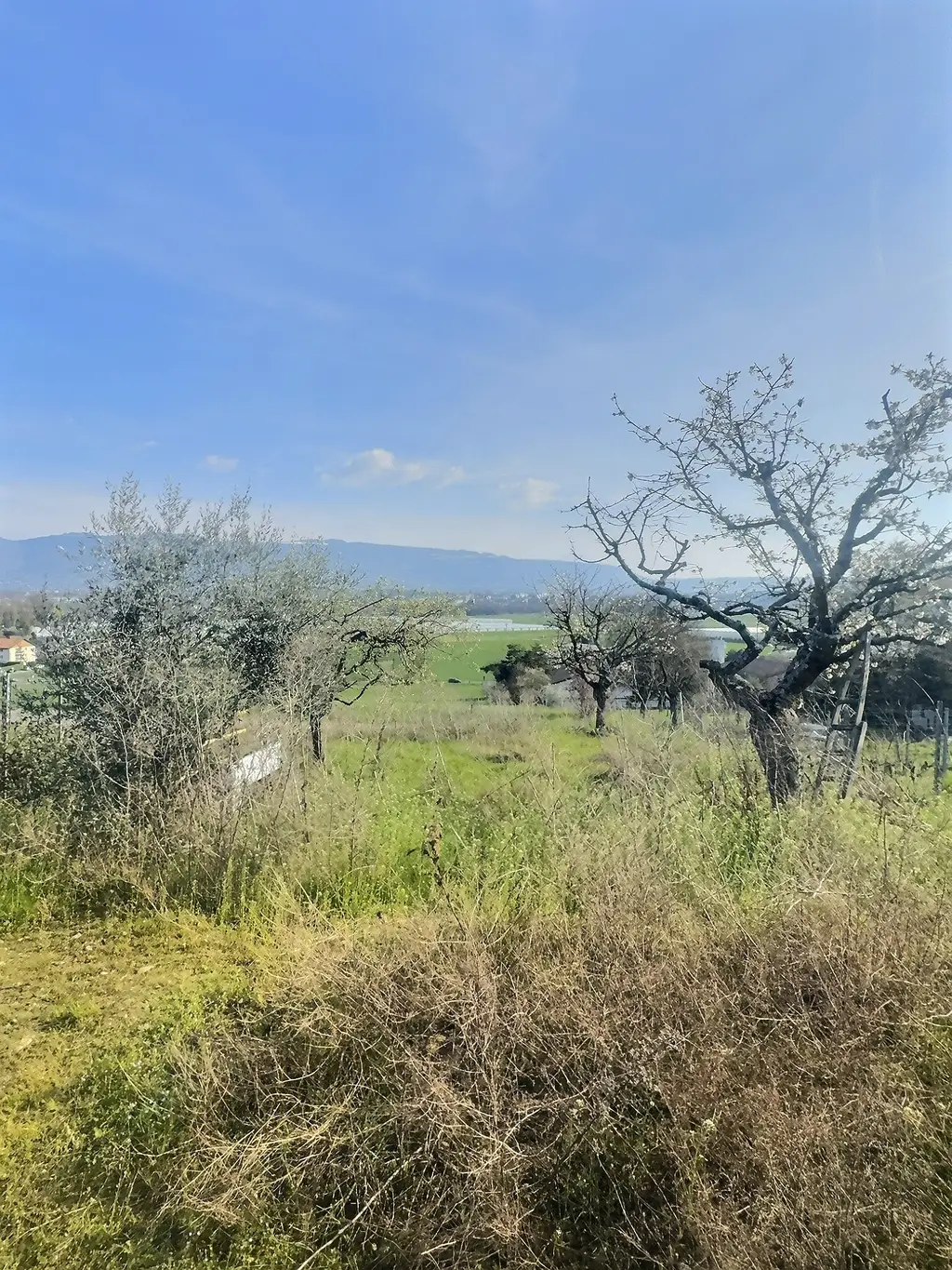 Petite Maison à Bernex avec Vues Panoramiques