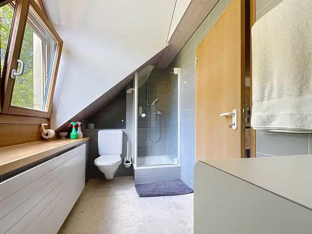 Ferme rénovée de deux logements, 383 m2 habitable – Espace, calme et élégance à portée de main