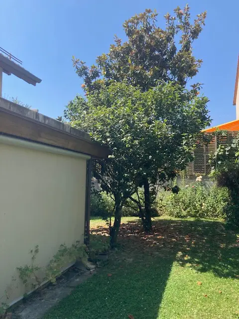 Villa individuelle familiale d’exception – 240 m² –  Signy (VD)
