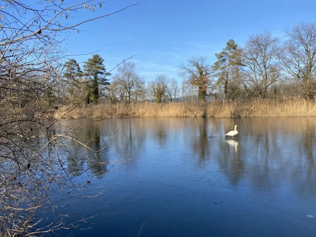 Ruhe geniessen mit Sicht auf die Berge