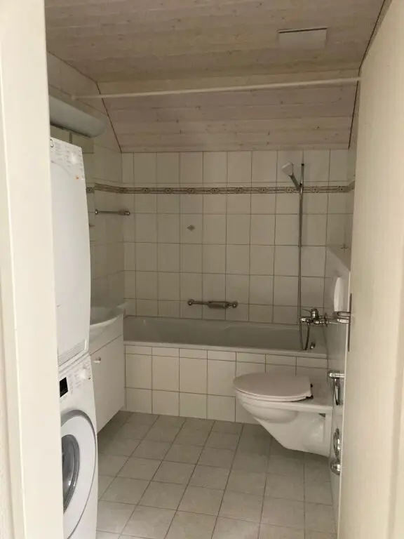 Charmante 3.5-Zimmer-Dachwohnung mit Balkon und Hobbyraum