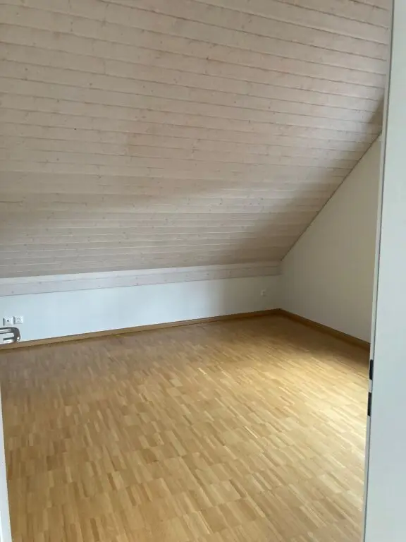 Charmante 3.5-Zimmer-Dachwohnung mit Balkon und Hobbyraum