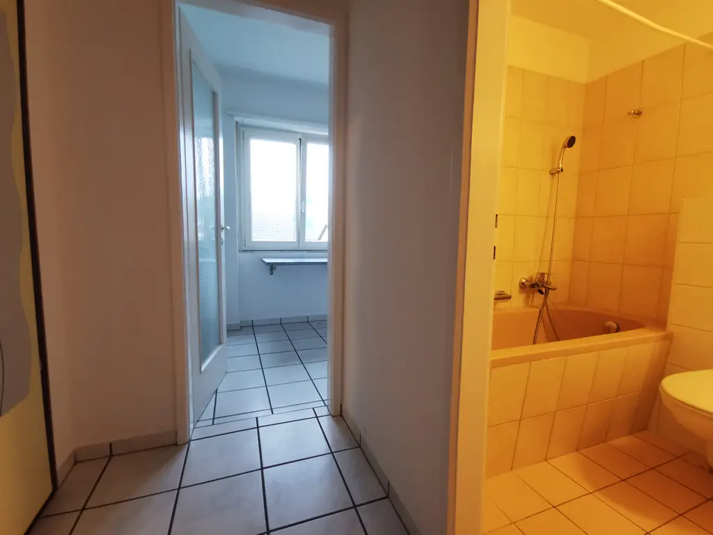 Gemütliches Studio-Apartment in Riehen, ideal für Singles