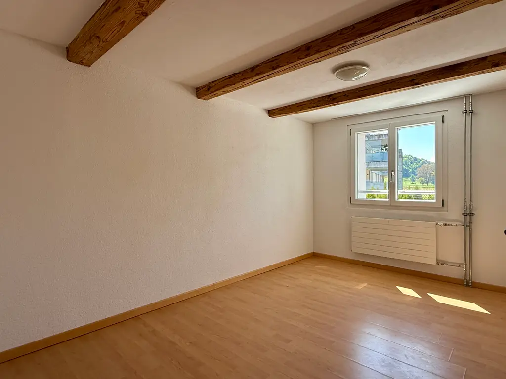 PREISWERTER ALTBAUCHARME RENOVIERT!