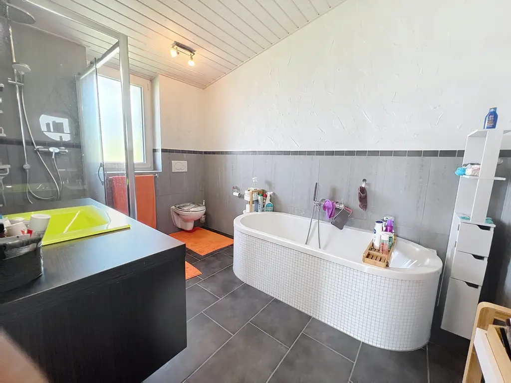 Avec grand jardin, piscine et Vue imprenable sur le Lac