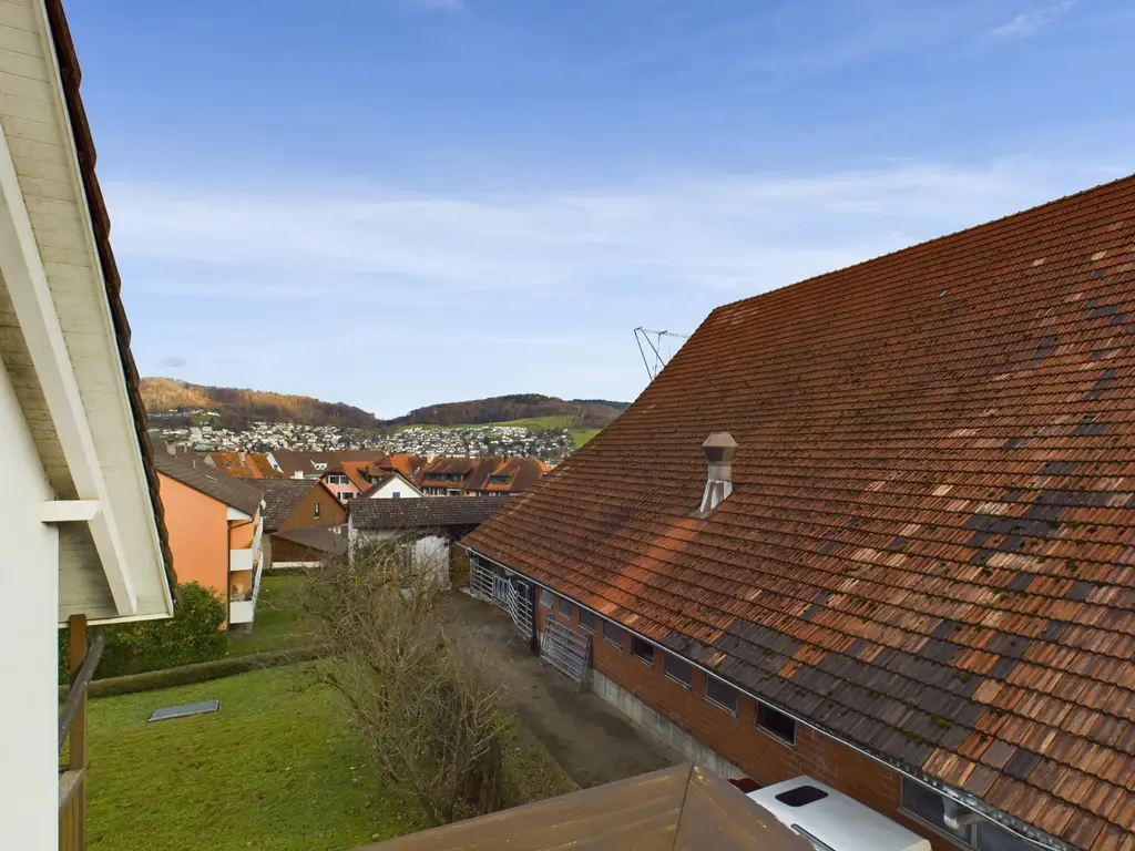 Wohnen mit Stil und Aussicht in Frenkendorf