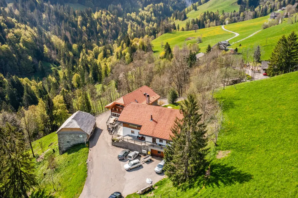Splendide établissement au cœur de la Haute-Gruyère, une opportunité incroyable pour les amoureux de la nature