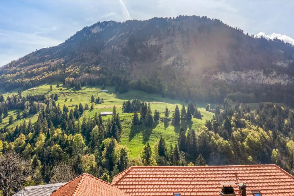 Splendide établissement au cœur de la Haute-Gruyère, une opportunité incroyable pour les amoureux de la nature