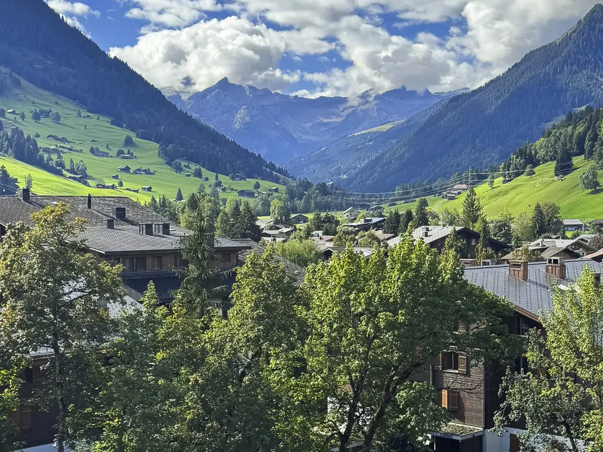 Charming appartment in the center of Gstaad - Valley & Palace views