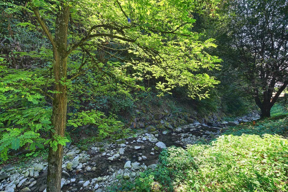 Villa d’exception avec vue imprenable, entre lac et nature
