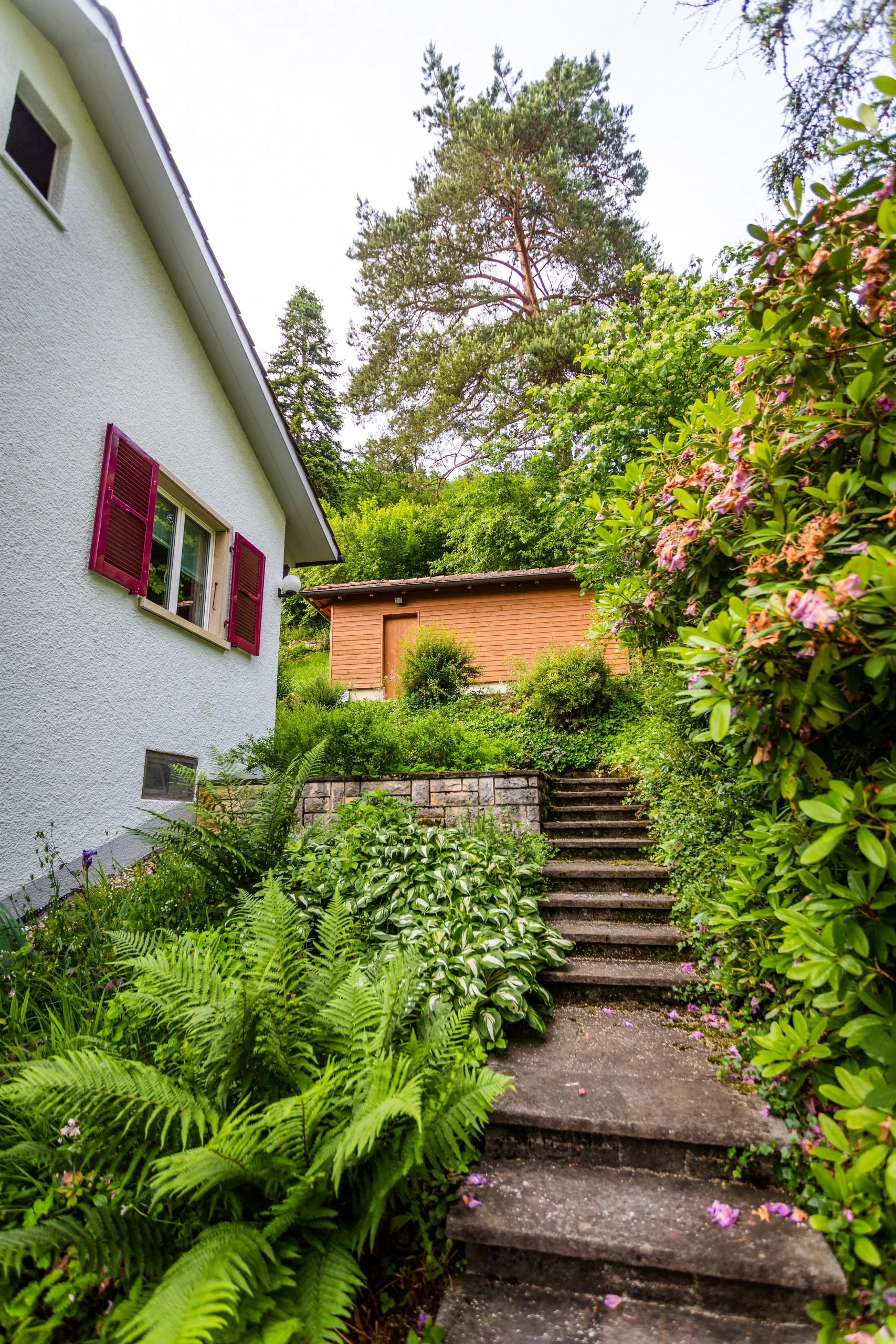 Magnifique maison individuelle