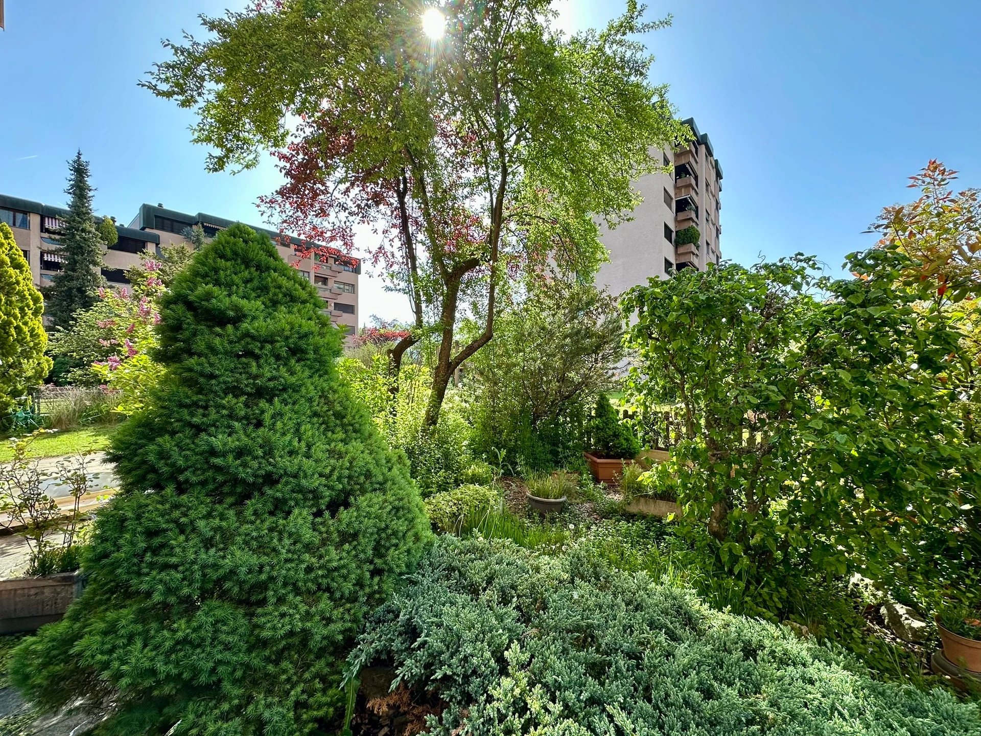 Appartement de 3.5 pièces