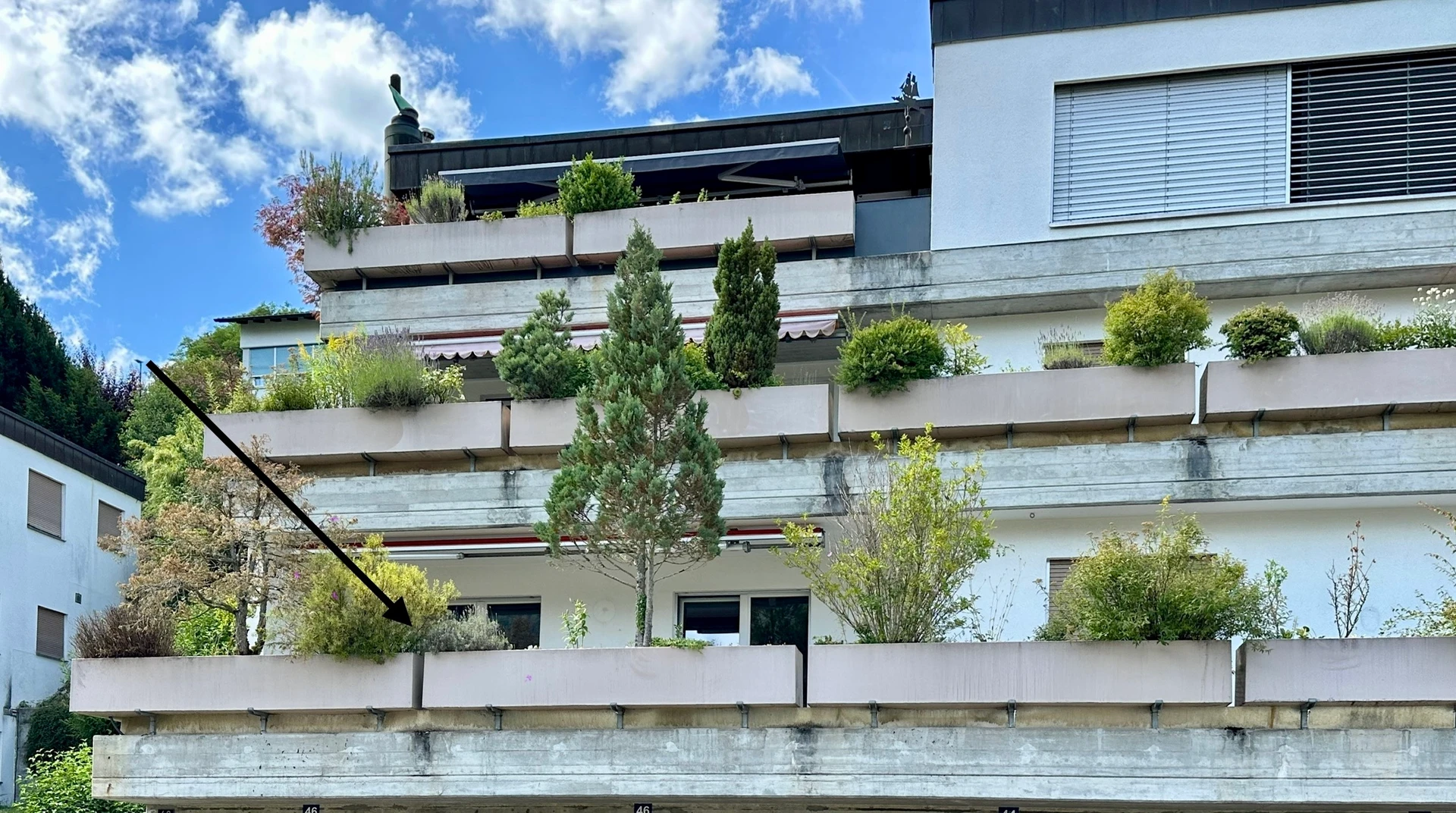 Appartement de 5.5 pièces en PPE