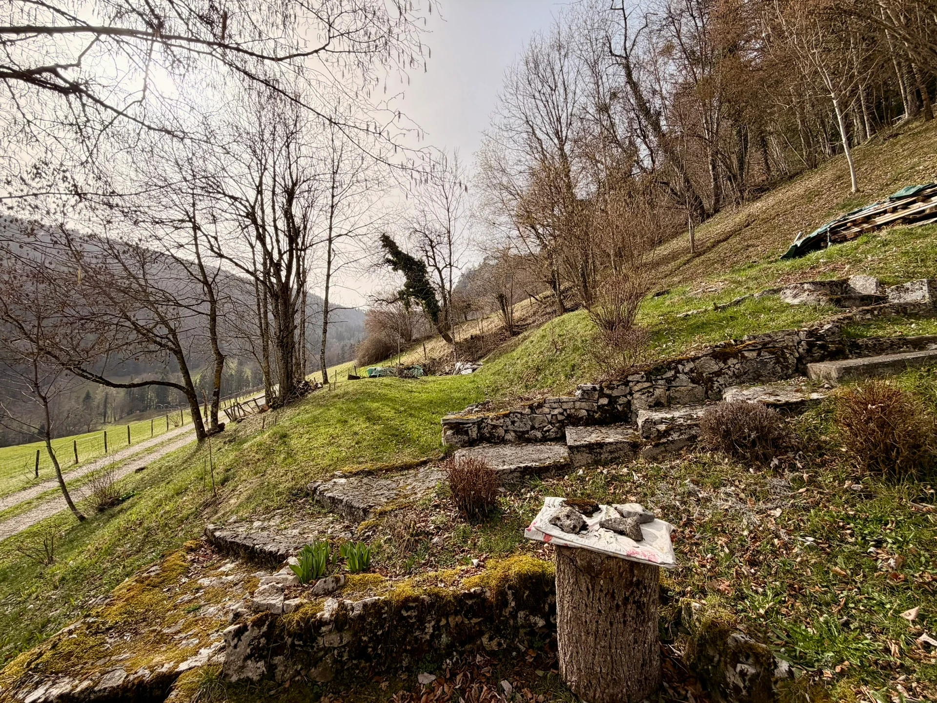 Chalet