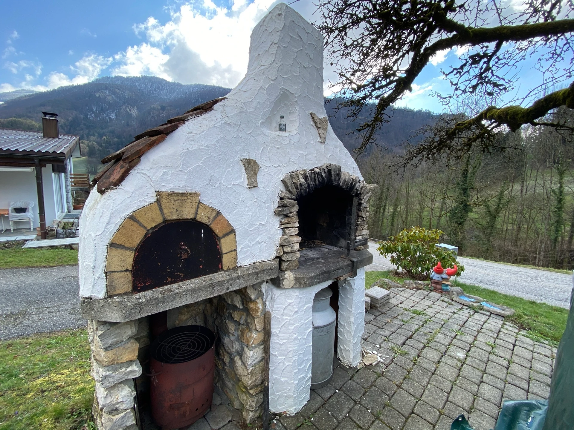 Maison individuelle style chalet