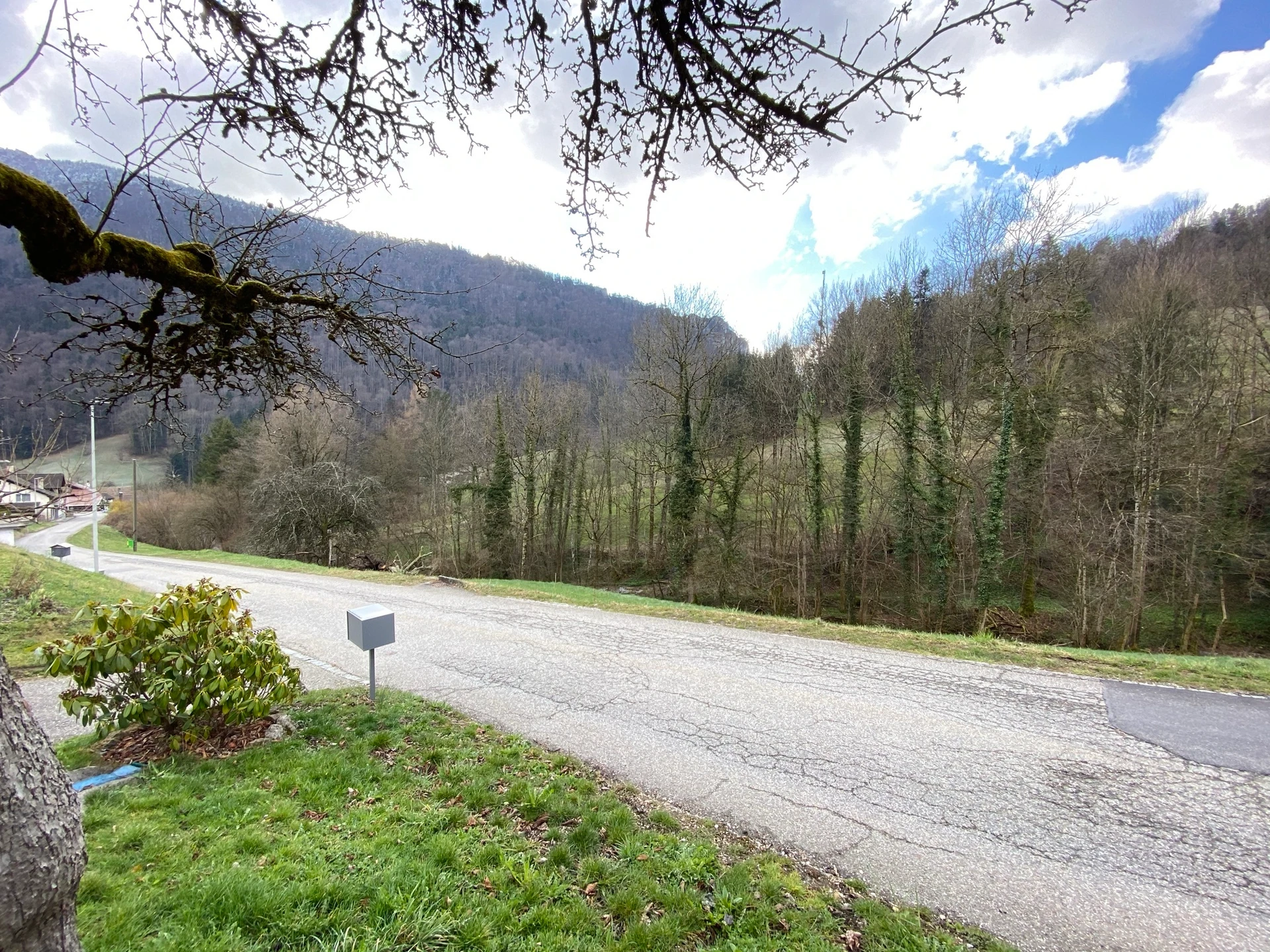 Maison individuelle style chalet